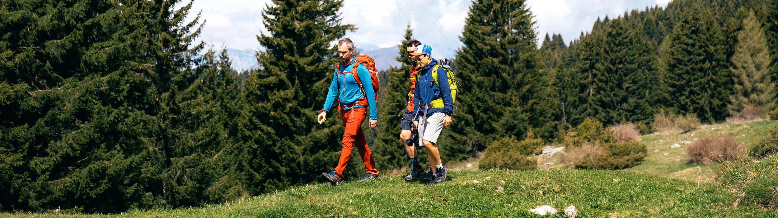 Hiking Boots