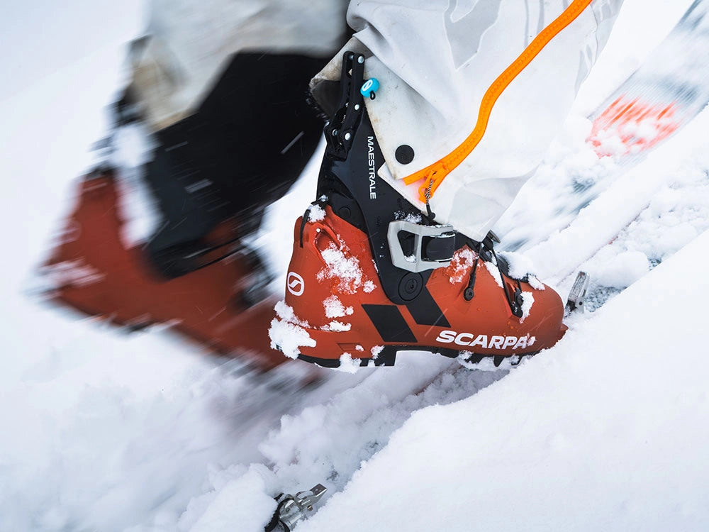 A close-up action shot of a person skiing through deep snow, wearing a bright orange-red Scarpa Maestrale ski boot with black and white details, paired with white ski pants featuring an orange zipper.