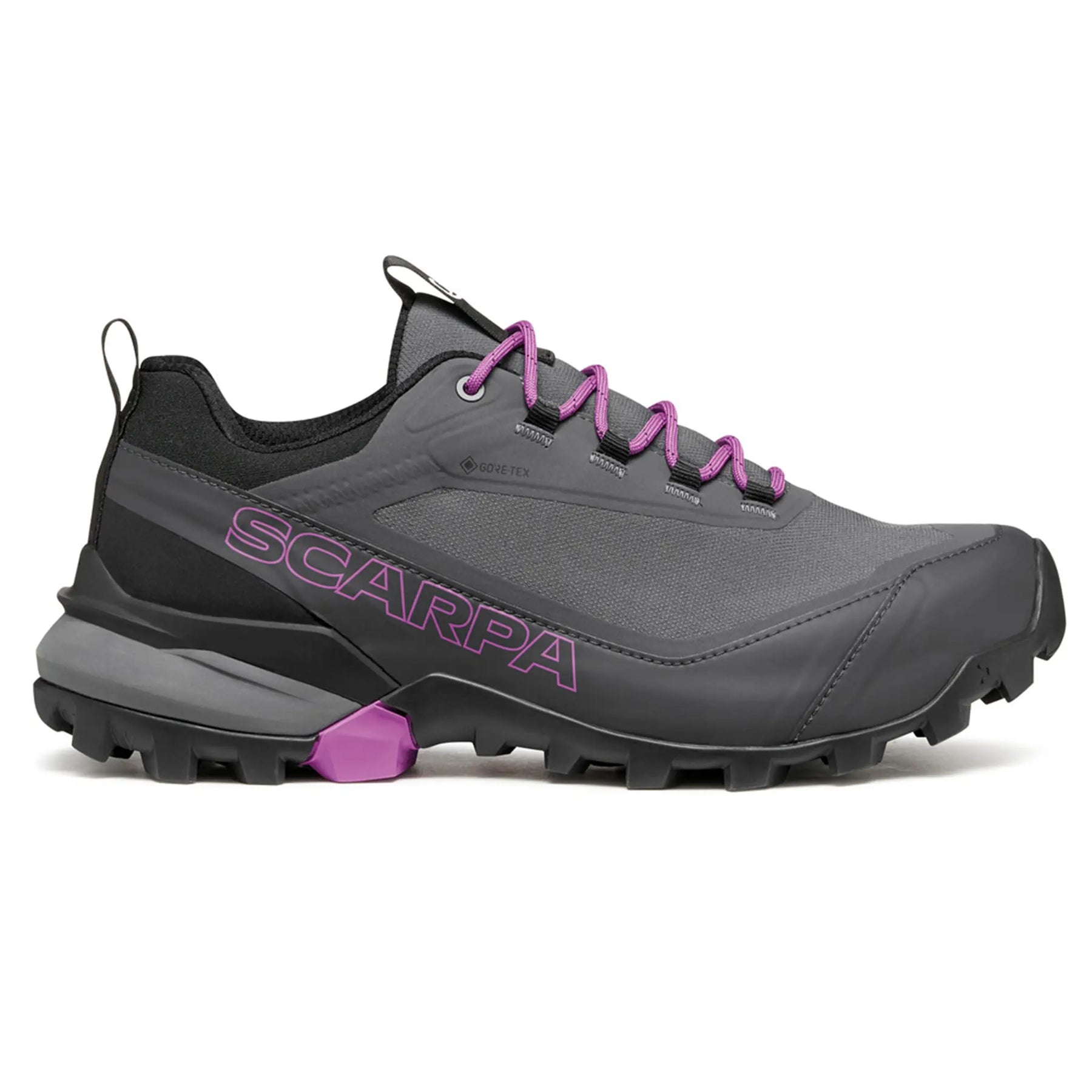 Gray and purple hiking shoe with 'Scarpa' branding on a white background