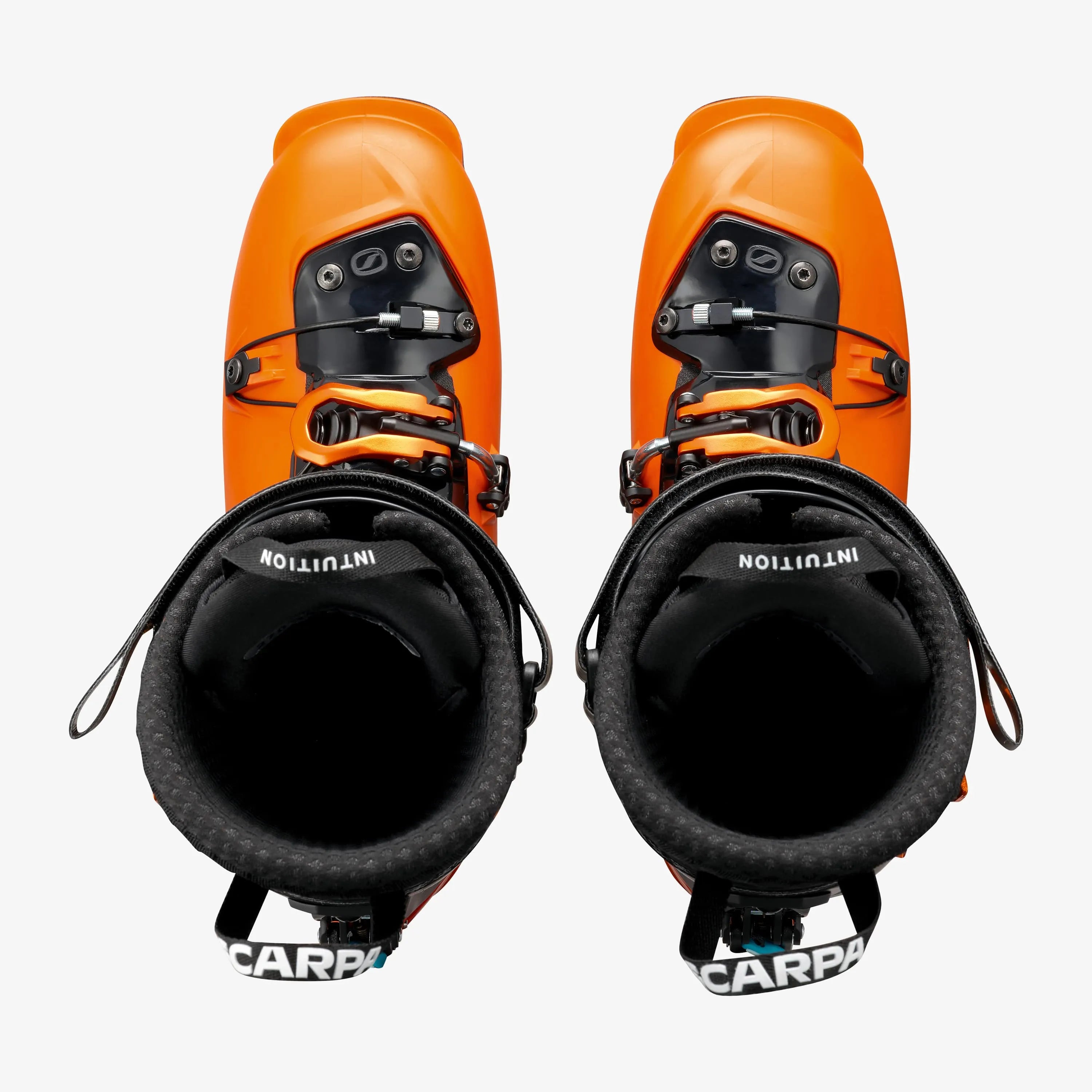 Maestrale