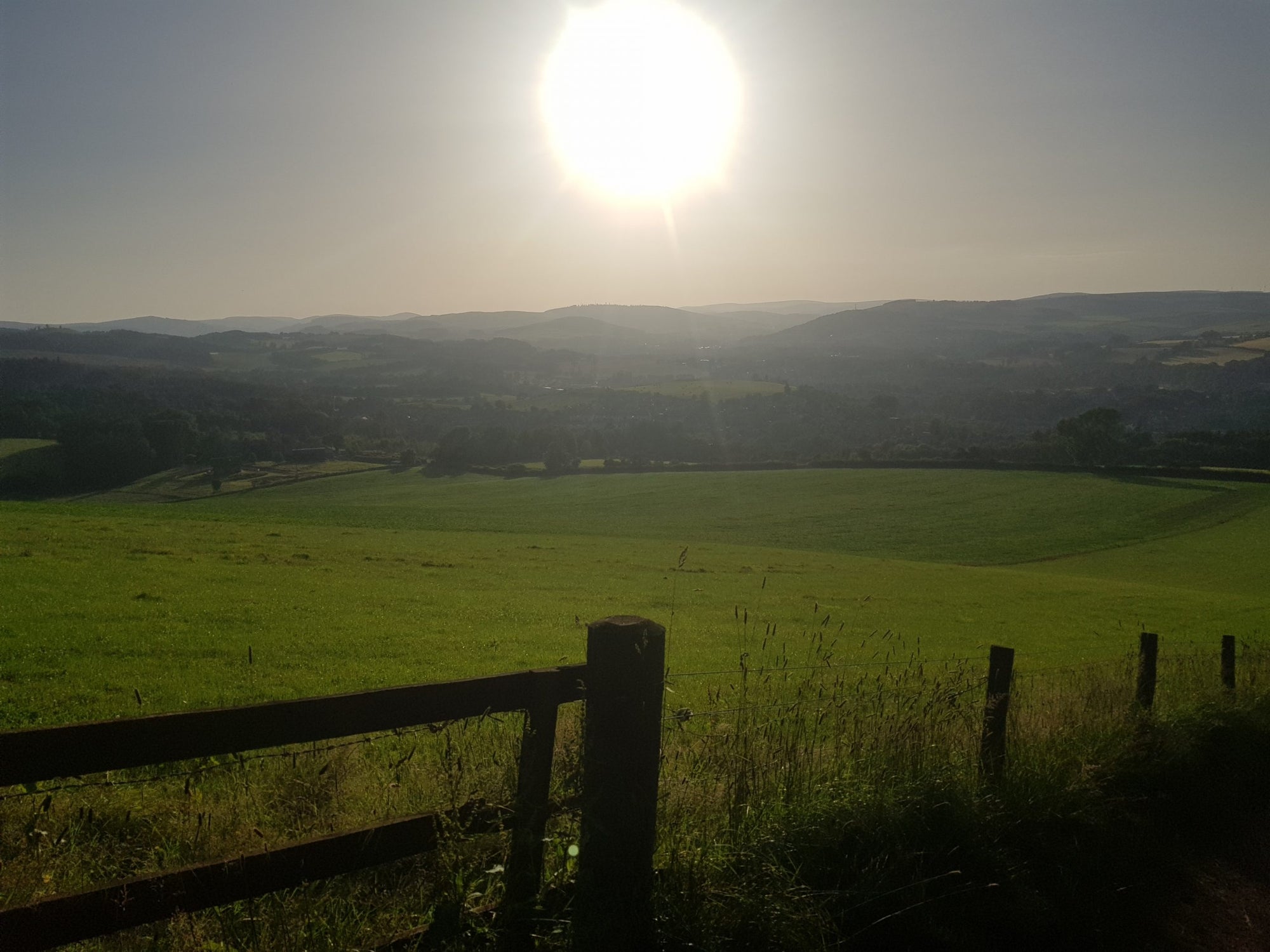 Trail Running in Hot Weather