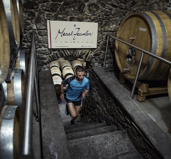 Valtellina Wine Trail