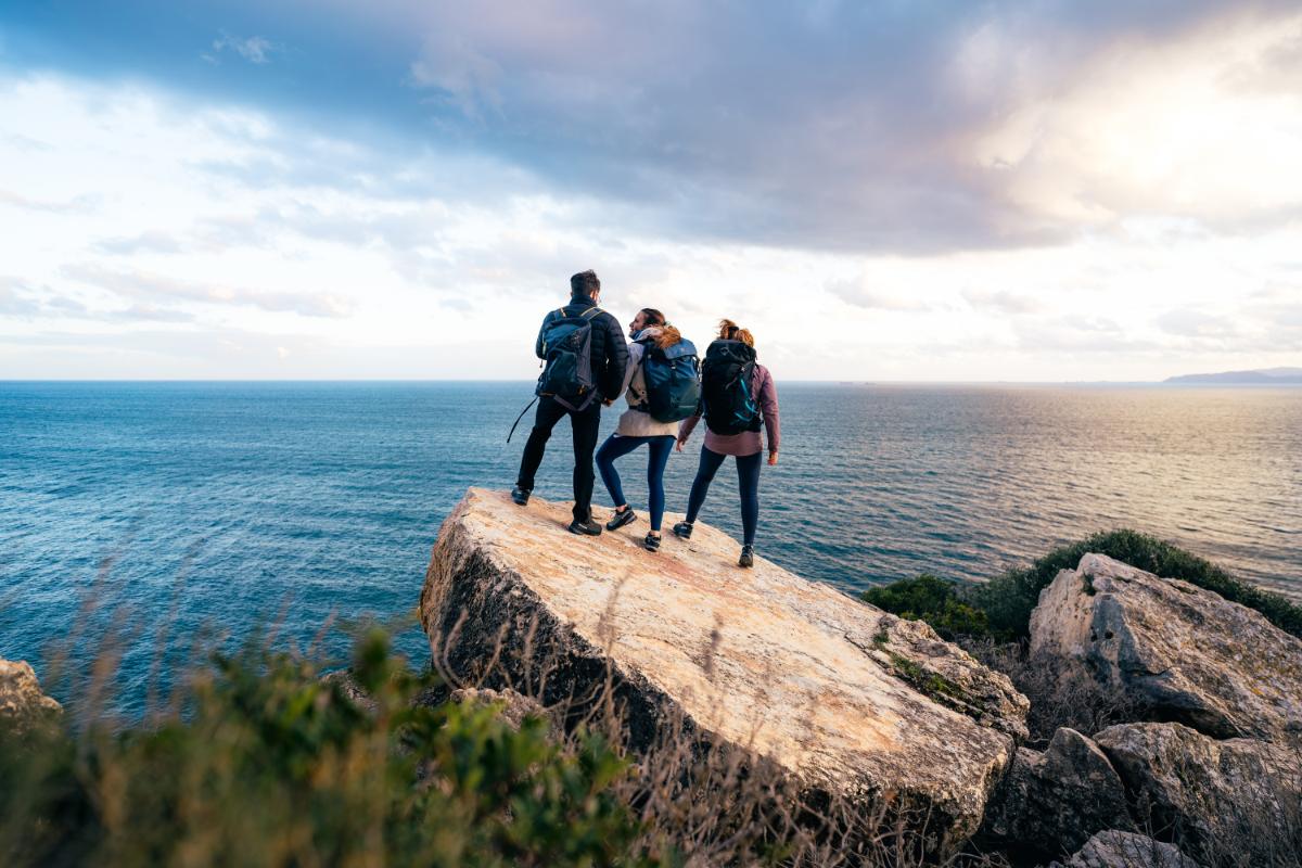 Rapid XT Family - All Round Ascenders