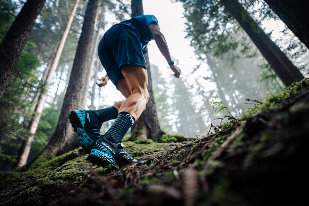 New Trail Running Shoes: Ribelle Run Kalibra HT & ST