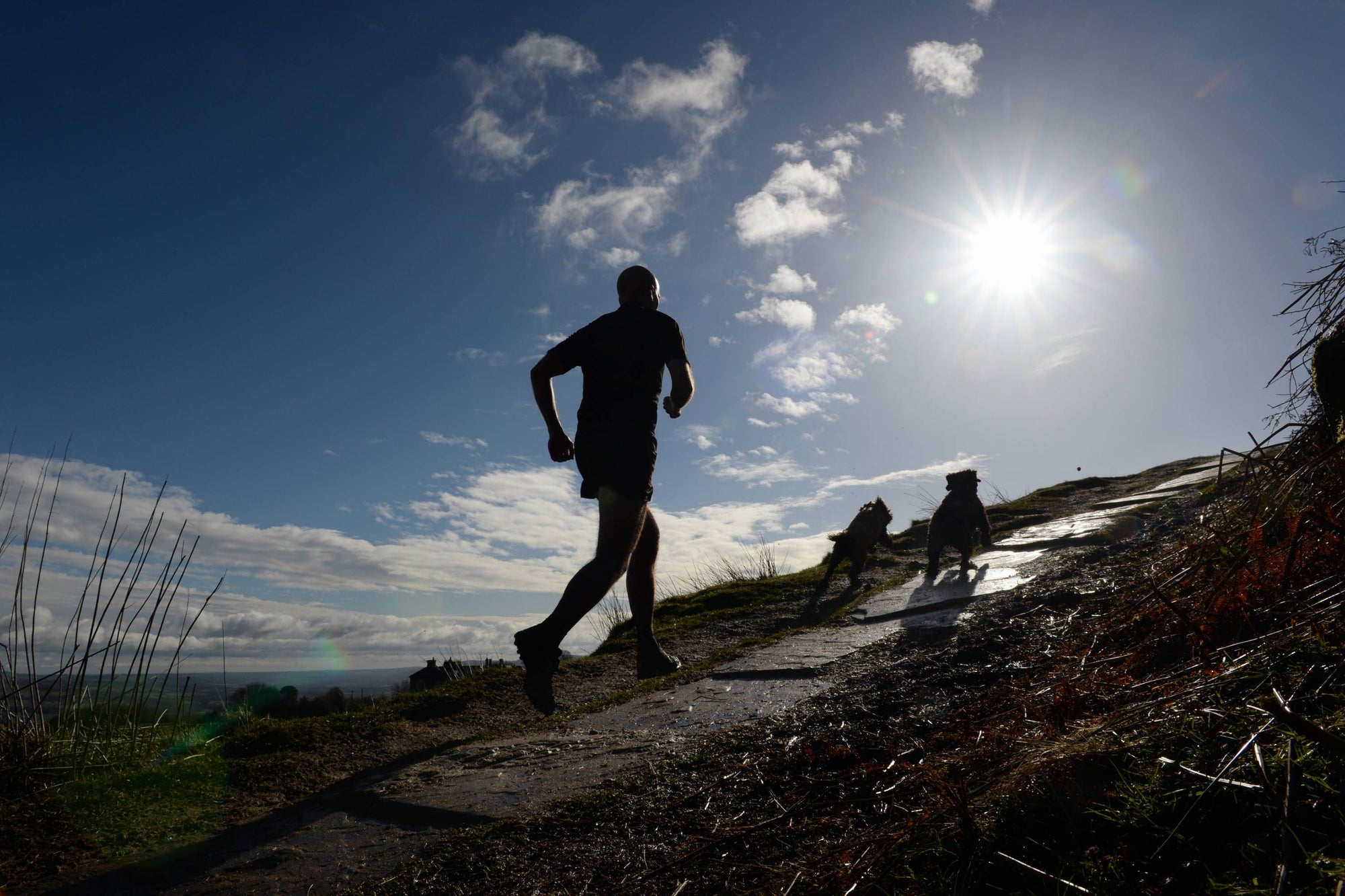 Lakeland Round - Tom Hollins