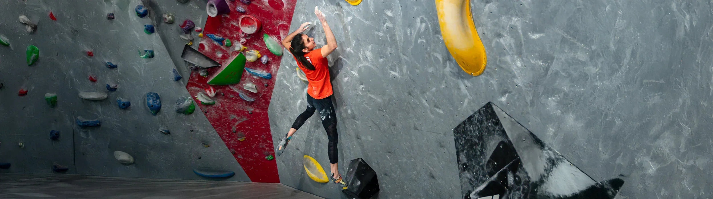 Indoor Climbing Shoes