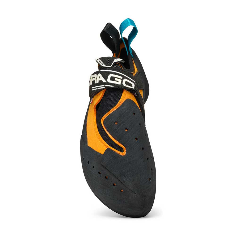 Drago Limited Edition