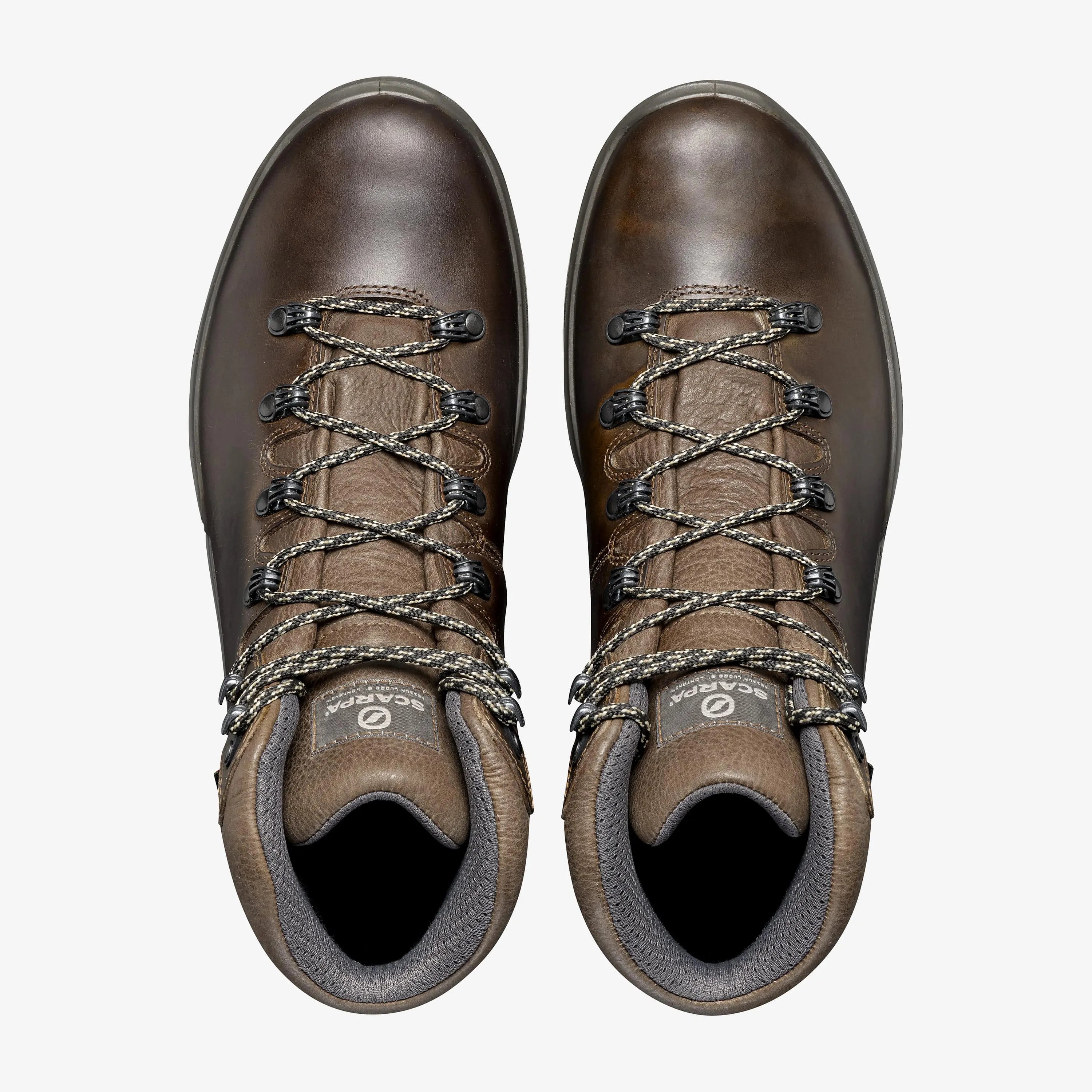 Terra GTX