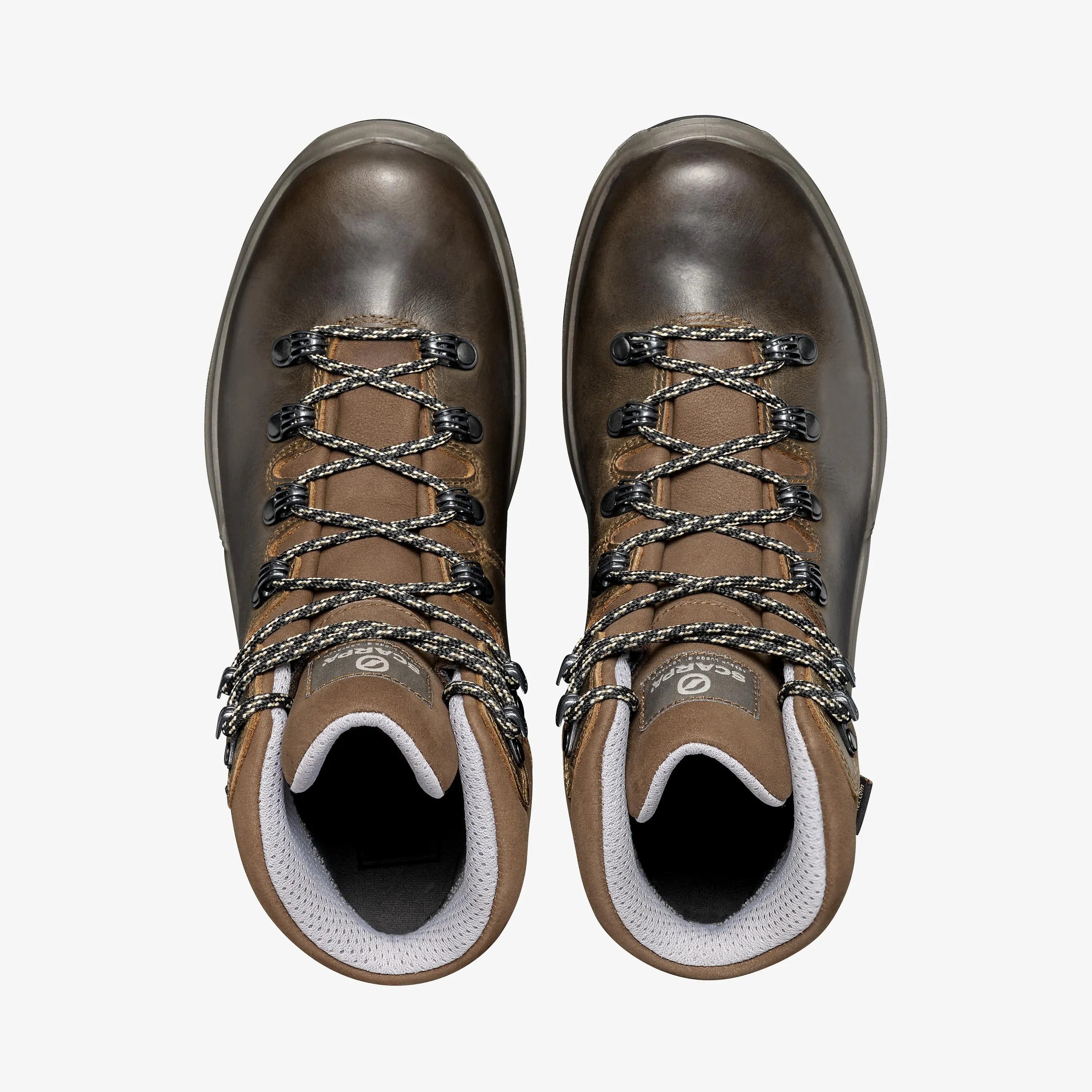 Terra GTX Woman